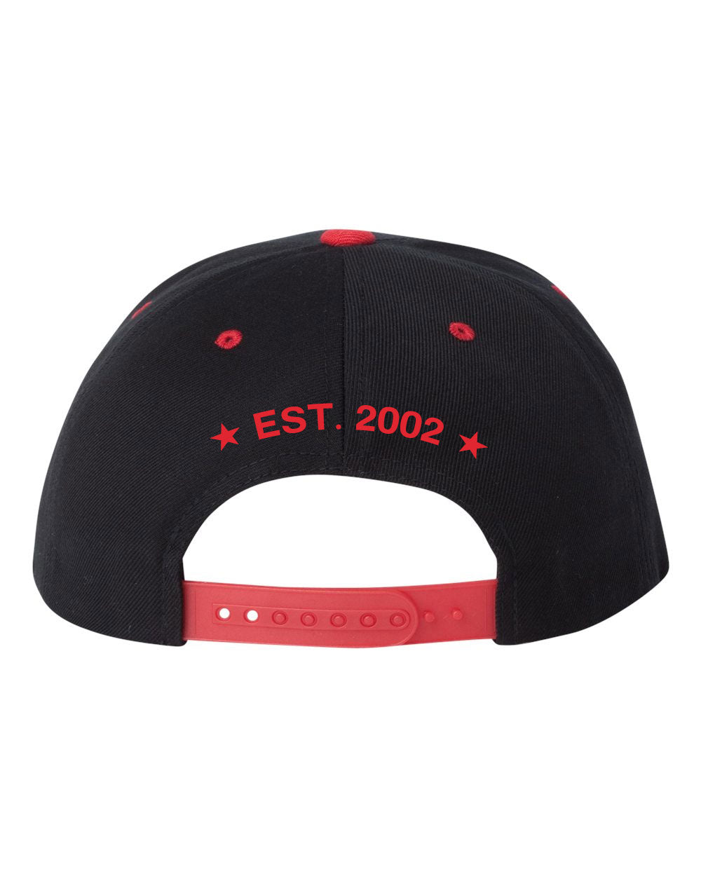 The Trews - Logo Snapback